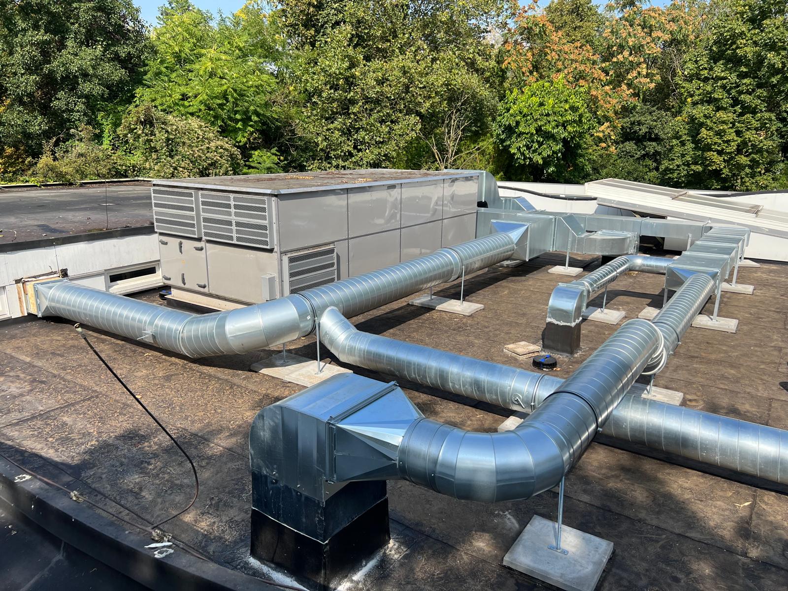 Blijdorp Rotterdam foto 1